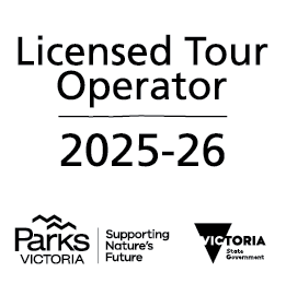 Bus and coach charter tour operator logo 2026