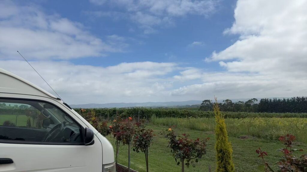 Winery Charter Tour