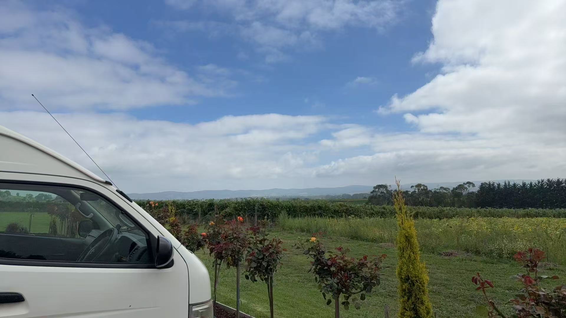 Winery Charter Tour Case Studies