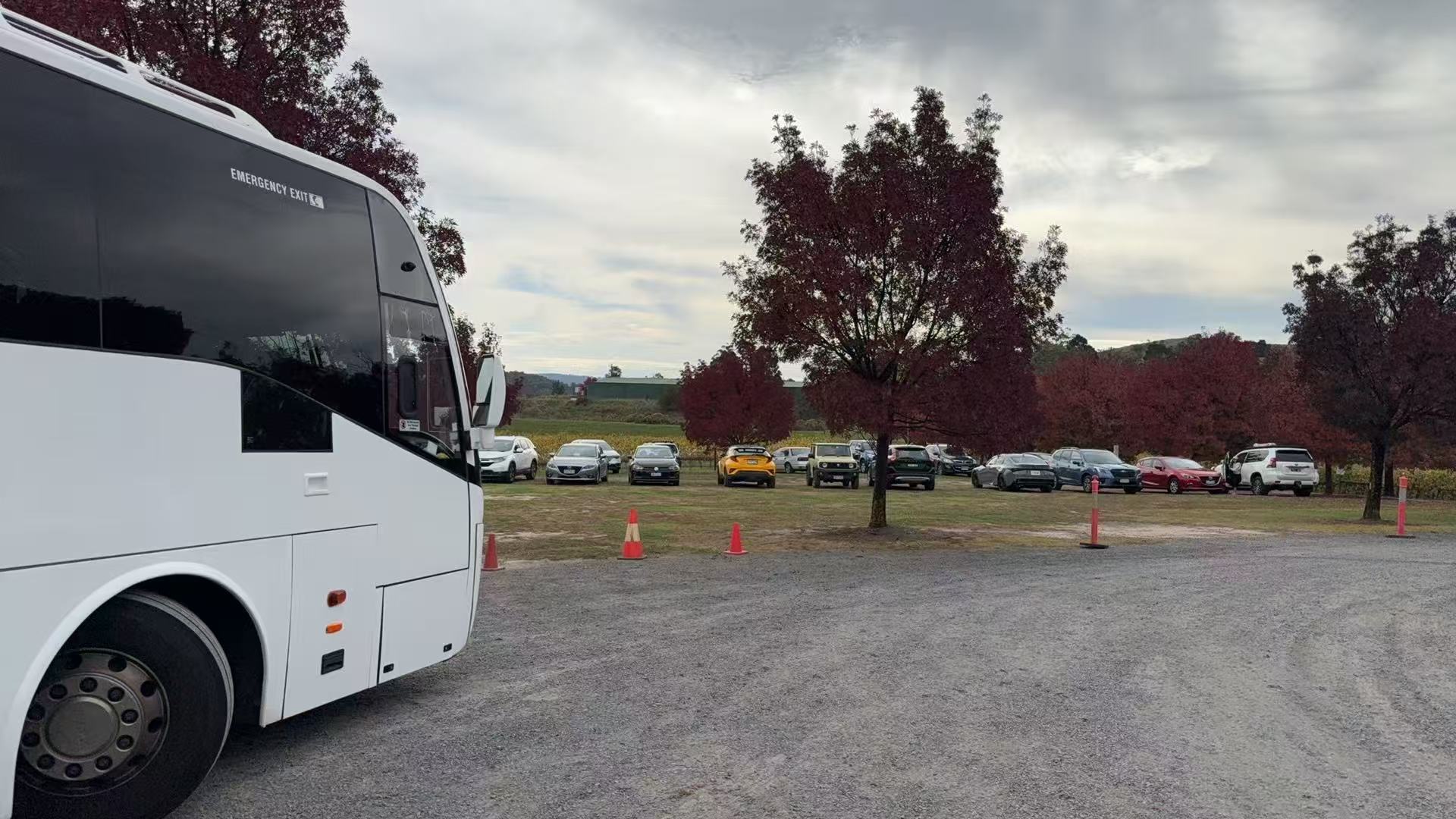 Yarra Valley Winery Tour Charter from Melbourne